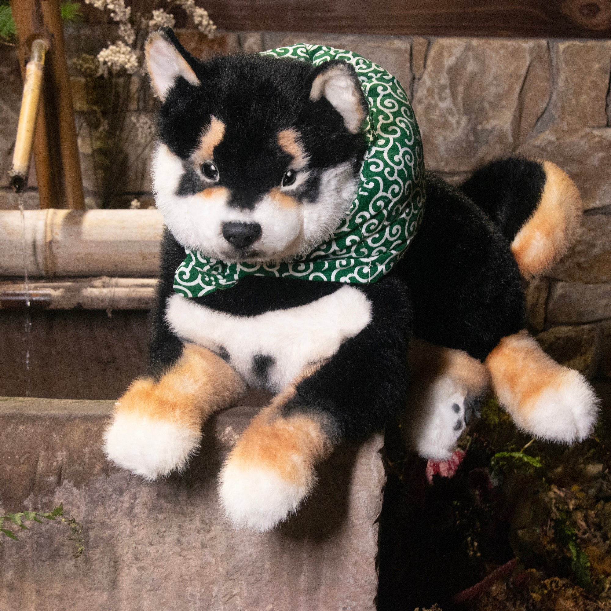 Black Shiba Inu Dog
